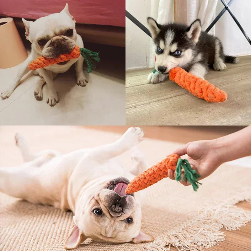 Carrot Tug Toy