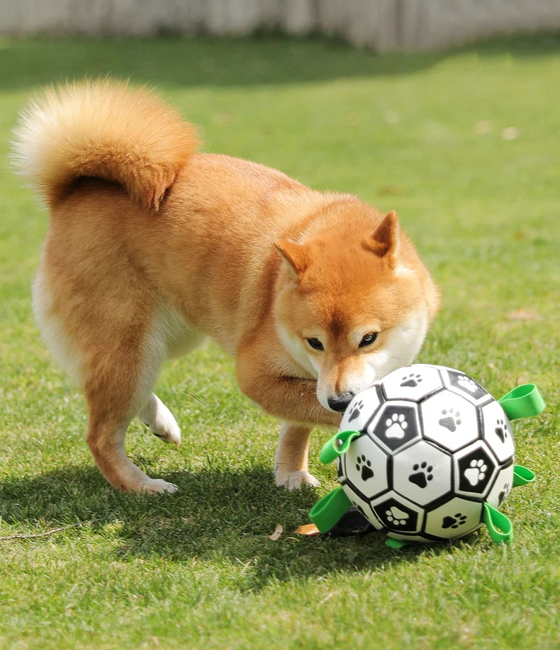 Dog Soccer Ball with Straps