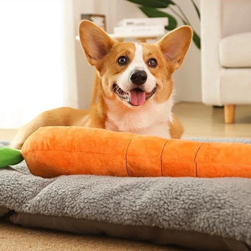 Carrot Squeak Toy