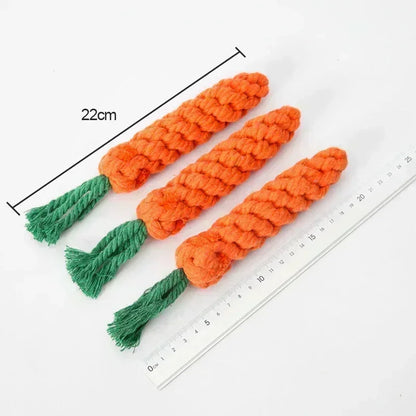 Carrot Tug Toy