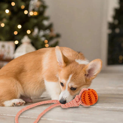 Treat Ball Rope Tug Toy