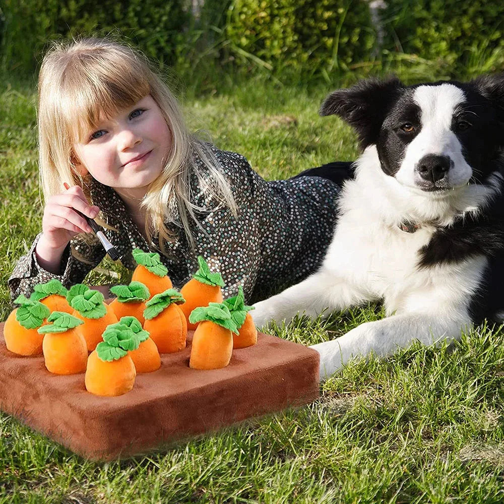 Carrot Snuffle Mat