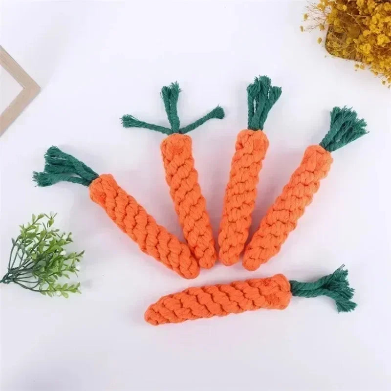 Carrot Tug Toy