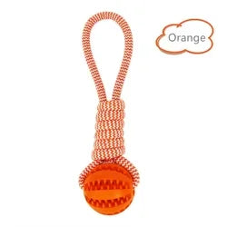 Treat Ball Rope Tug Toy