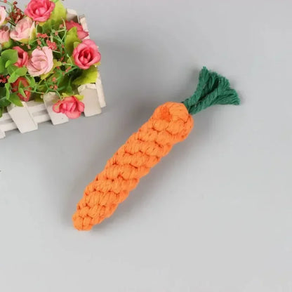 Carrot Tug Toy