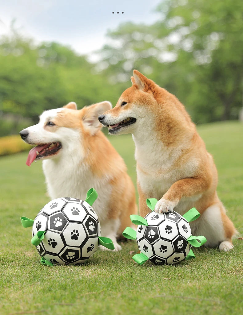 Dog Soccer Ball with Straps