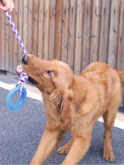 Spiked Ring Rope Tug Toy