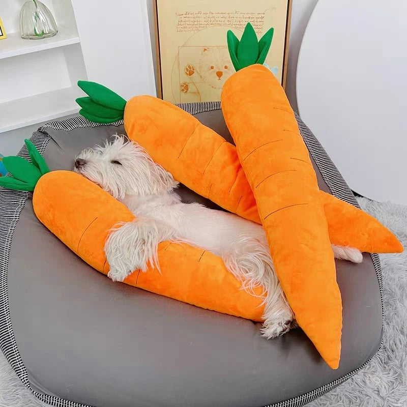 Carrot Squeak Toy