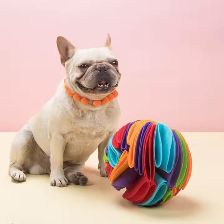 Dog Sniffing Toy Ball